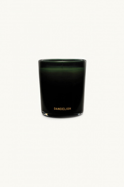 Perfumer H - Bougie Dandelion 175 grammes - allanjoseph